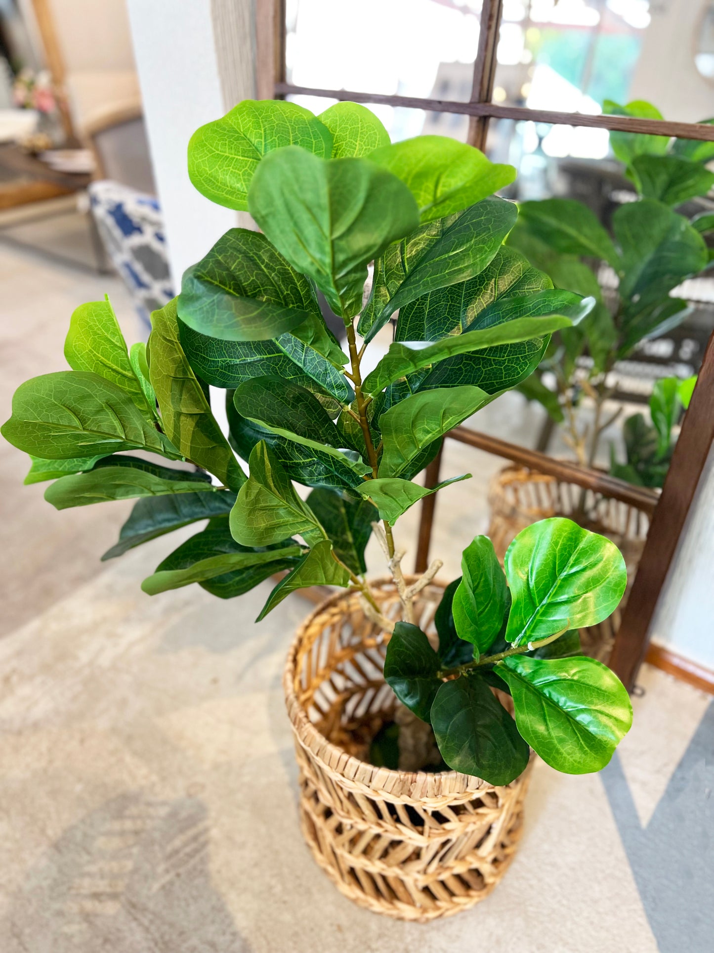 FICUS ARTIFICIAL