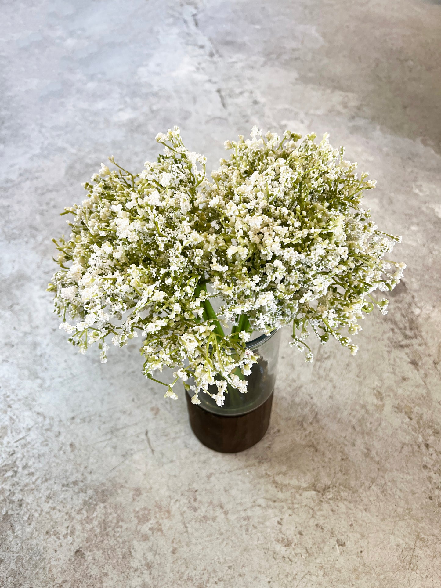 RAMO GYPSOPHILA