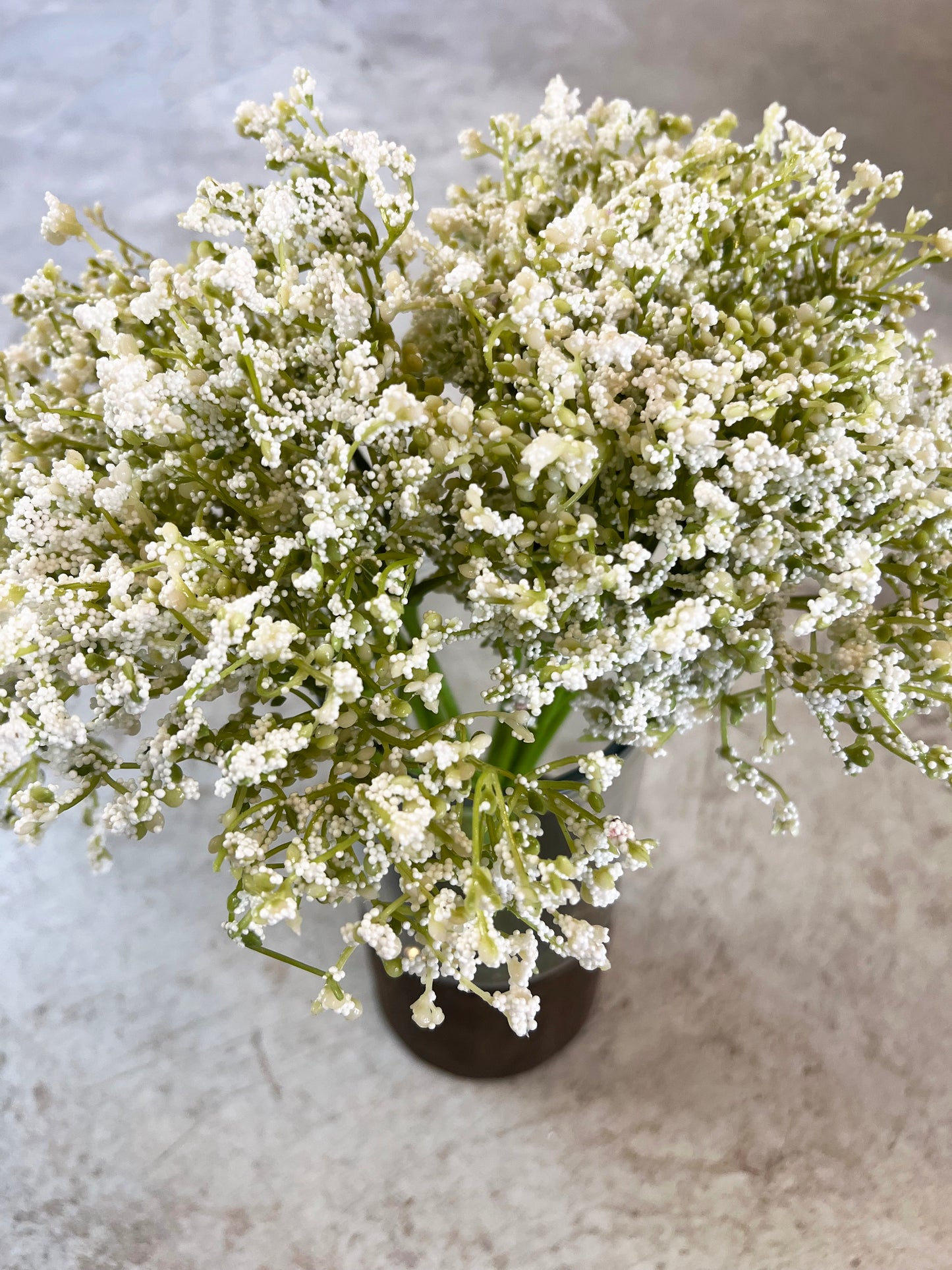 RAMO GYPSOPHILA