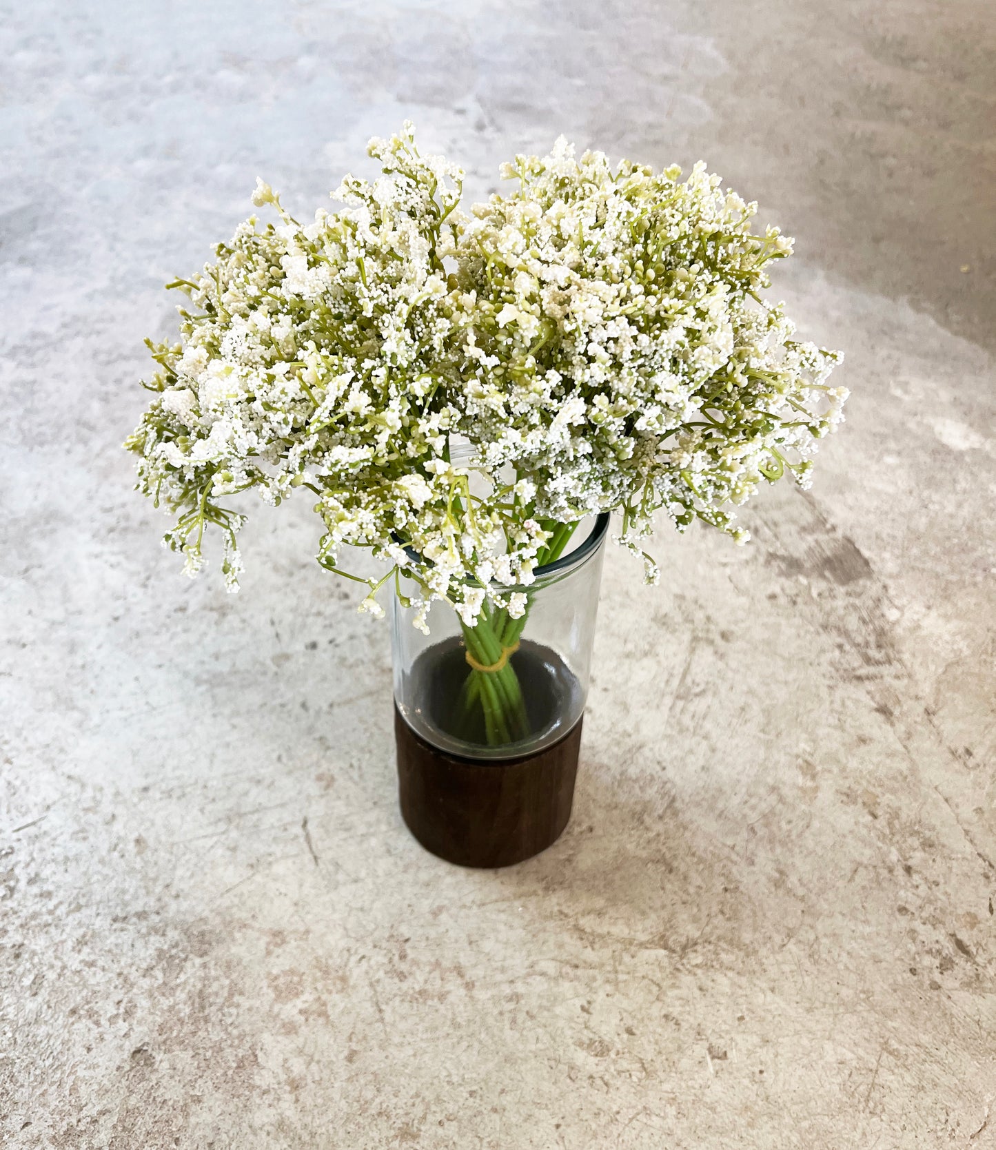 RAMO GYPSOPHILA