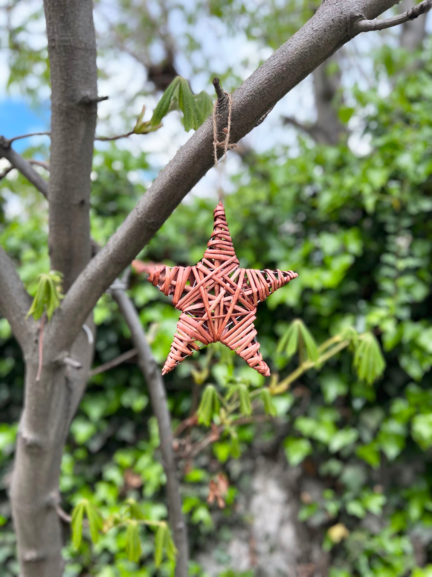 ESTRELLA TERRACOTA S